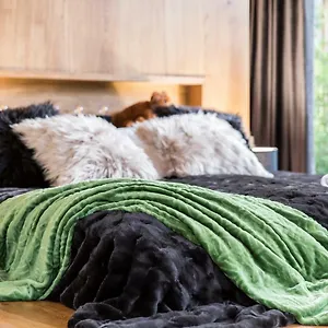 Nowy Komfortowy Apartament&spa Grizzly De Lux Zakopane